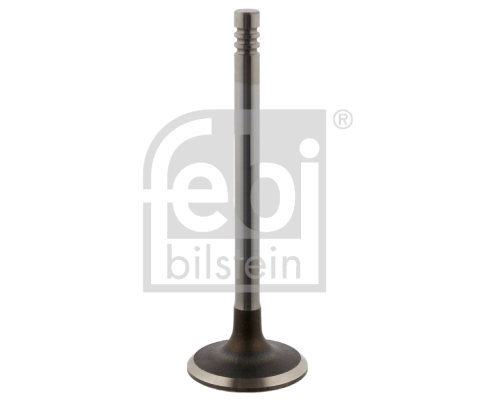 Intake Valve